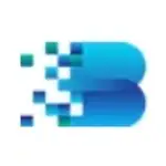 壁仞科技 logo