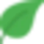 anki logo
