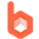 Bigesj logo