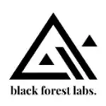 Blackforestlabs logo