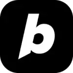 Bolt logo