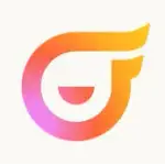 Codeflying logo