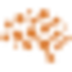 Determined logo