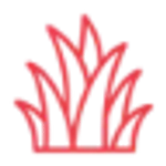Duozhongcao logo