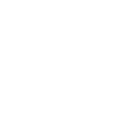Flowch logo