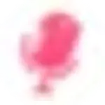 Icnpy logo