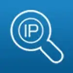本机IP地址查询 logo
