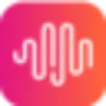 Minimaxi logo