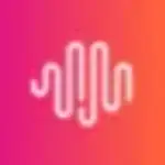 Minimaxi logo
