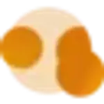Orango logo