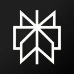 Perplexity logo
