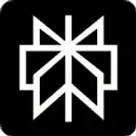 Perplexity logo