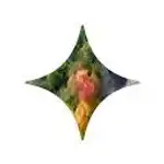 Starry logo