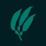 Tidepool logo
