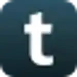 type logo