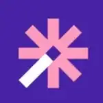 Vizard logo
