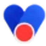 Vizard logo