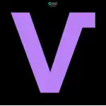 Vizly logo