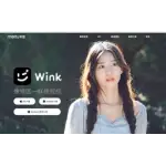 Wink logo