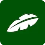Wisdolia logo