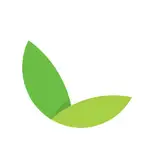 Zed MCP Server Webflow logo