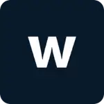 Waylayio MCP logo