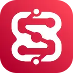Seitrace Insights MCP Server logo