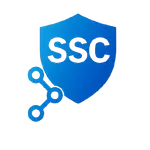 Securechain MCP Server logo