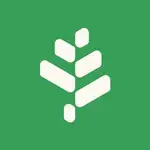 Buildwithgrove MCP logo