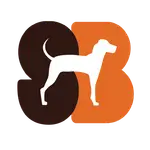 MCP Clipboard Server logo