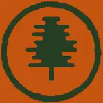 Caddy MCP logo