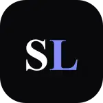 Seolint MCP logo