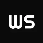 WithSeismic MCP logo