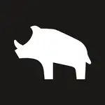 Boar Blockchain MCP logo