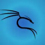 Repo Lens MCP logo