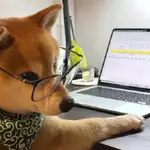 Yuns Desktop Pet logo