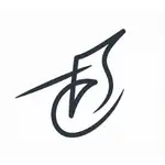 A E G I S logo