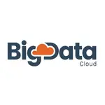Bigdatacloud MCP Server logo