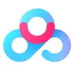 Baidu Netdisk MCP logo