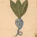 Lab MCP Da01983b logo