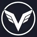 InsanusChat Backend logo