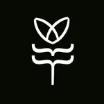 flutter maestro MCP logo