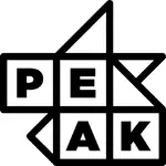 VSCode Debug MCP logo