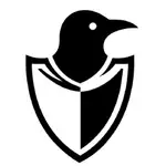 Anomaly Armor logo