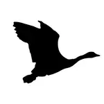 MCP Nats logo