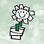 Namecheap MCP logo