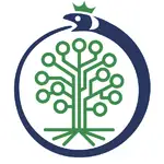 Roistat MCP logo