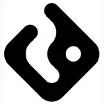 Dg Team MCP logo