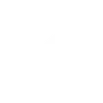 Whissle MCP Server logo