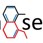 Demo MCP Server Smithery logo
